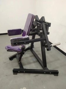CE Certificate Gym Commercial Home <b>Strength</b> <b>Training</b> Sports Machines Lateral Raise Fitness Equipment - Product Image 2