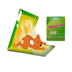 Hot Selling Pest Control Ratten kleber falle Karton verpacktes Klebe papier für effektiven Maus-und Skorpion <span class=keywords><strong>killer</strong></span> - Product Image 1