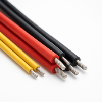 Fil de silicone 20AWG 0,5 mm² 8000V haute tension, câble d'alimentation souple en cuivre étamé multibrin de calibre 20 pour la détection BESS et les tests HV