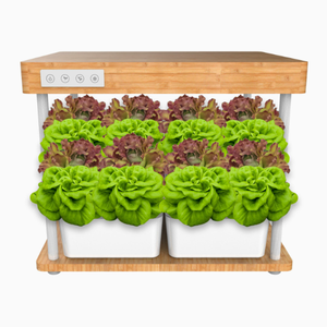 Sistema Hidropónico Inteligente con Lámpara <span class=keywords><strong>de</strong></span> Crecimiento para Plantas <span class=keywords><strong>de</strong></span> Bambú Jardín Hidropónico Inteligente para Escritorio <span class=keywords><strong>de</strong></span> Oficina Interior - Product Image 3