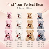 Ours en peluche rose rouge romantique, jouet en peluche doux, animal en peluche câlin, décoration pour le coucher, cadeau pour une occasion spéciale