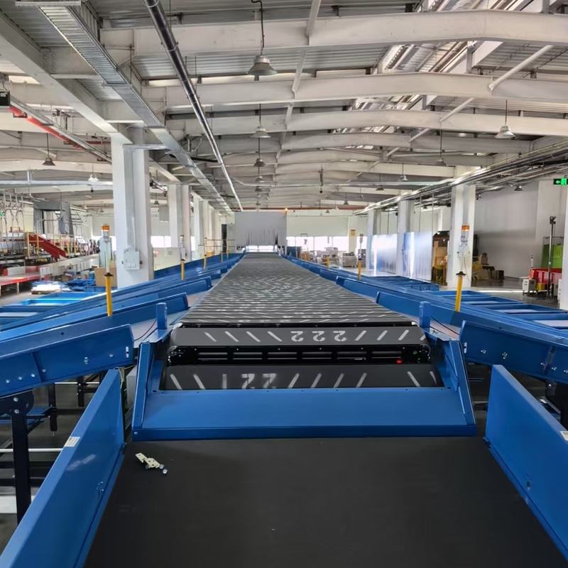 Truelisort Stainless Steel Warehouse Conveyor Cross