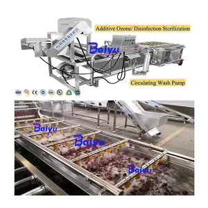 Baiyu Industriële Automatische Fruit-En Groentewas-En Droogmachine Voor Groente-En Fruitverwerkende Bedrijven