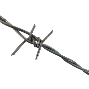 Kualitas tinggi harga yang kompetitif penjualan terbaik produsen kawat besi galvanis untuk konstruksi dan perlindungan jenis melingkar - Product Image 1