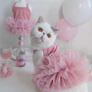 Robe <span class=keywords><strong>de</strong></span> princesse moderne en polaire douce à rayures d'été avec jupe en tulle moelleuse pour chats et petits chiens - Product Image 3