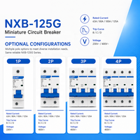 Disjoncteur professionnel CH-INT NXB-125G courbe C 1P 2P 3P 4P 63A 80A 100A 125A pour la distribution d'énergie aux bornes