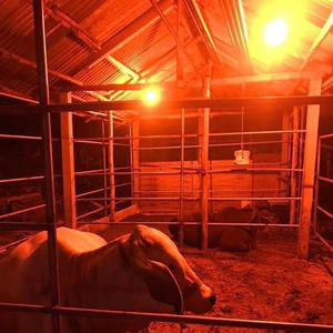 Lampes anti-moustiques LED, ampoule répulsive contre les moustiques, indice de protection IP65, aluminium, maison, extérieur, ferme, camping, lumière jaune et <span class=keywords><strong>orange</strong></span> chaude, CRI élevé 80-90 - Product Image 2