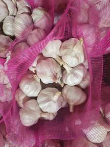 Ail frais de Chine 40mm 50mm 60mm Allium Sativum Qualité Premium Exportation en Gros Fournisseur Ajo Alho Ails - Product Image 3