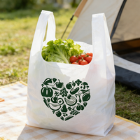Sacs en plastique pour supermarchés avec logo personnalisé et couleurs au choix, impression en gravure, styles t-shirt et gilet, sacs d'emballage pour sacs à main