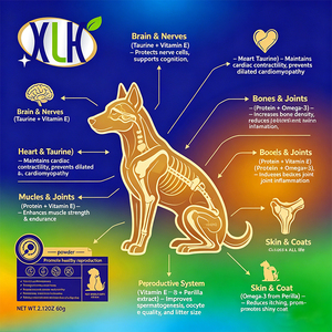 Amélioration de la fertilité des animaux de compagnie, reproduction canine, vitalité du sperme canin, supplément en poudre, OEM, soutien immunitaire pour la gestation des chiens et des chats - Product Image 6