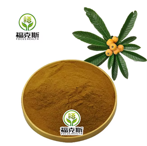 Estratto Secco di Foglie di Loquat Standardizzato con 25% di Acido Ursolico, Polvere Vegetale Naturale di Triterpenoidi per Formulazioni Nutraceutiche - Product Image 2