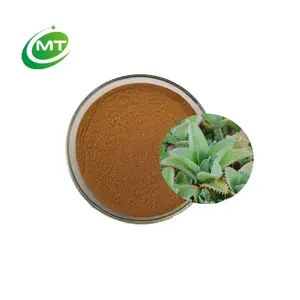 100% Pure Kosher Best Quality Goethe Plant Air Plant Cathedral Bells Miracle Leaf Extract Kalanchoe Pinnata Extract