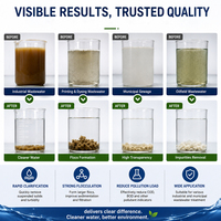 Produits chimiques granulaires cationiques pour le traitement des eaux usées industrielles, la déshydratation des boues et la séparation solide-liquide efficace