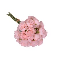 Bouquet de fleurs artificielles en soie à 27 têtes, style Lulian, pour décoration de mariage, extérieur, hôtel, cadeau d'entreprise et aménagement photographique transfrontalier