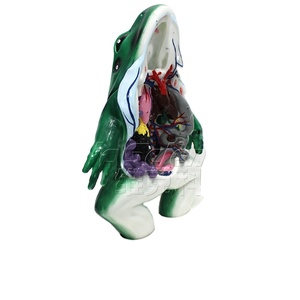 Modelos Anatómicos de Animales, Modelo de Anatomía de Rana, Modelo de Anatomía Animal - Product Image 1