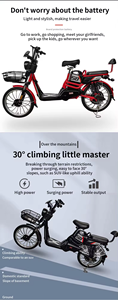 Bicicleta Eléctrica V20 48V con Neumáticos Anchos, 1000W, Fatbike, Ebike Económica, Bicicleta Todoterreno de 250W - Product Image 5
