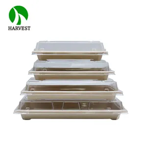 Sushi Takeaway Box PE Coating Recyclable Eco Sushi Takeaway Delivery Food Packaging Box