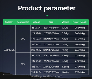 แบตเตอรี่ลิเธียมความจุสูง 44000mAh 3.95V สำหรับโดรนสำรวจ ทำแผนที่ และตรวจสอบระดับมืออาชีพ - Product Image 2