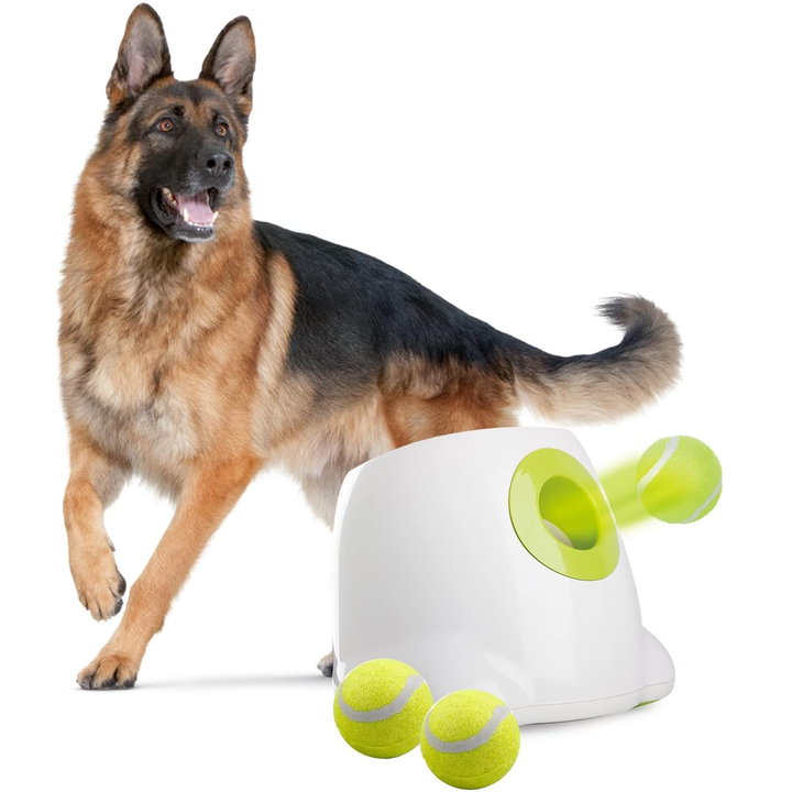Dog and ball throwing machine discount