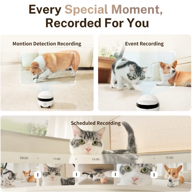 Intelligent Electronic Roboter Emo Pet Robot Smart Remote Control Toy for Pets Plastic Model Electric Feature