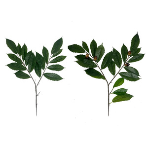 Feuilles d'arbre de mangue artificielles en plastique de style nordique - Feuilles décoratives hautement réalistes et écologiques pour la remise des diplômes et le Nouvel An chinois - Product Image 1