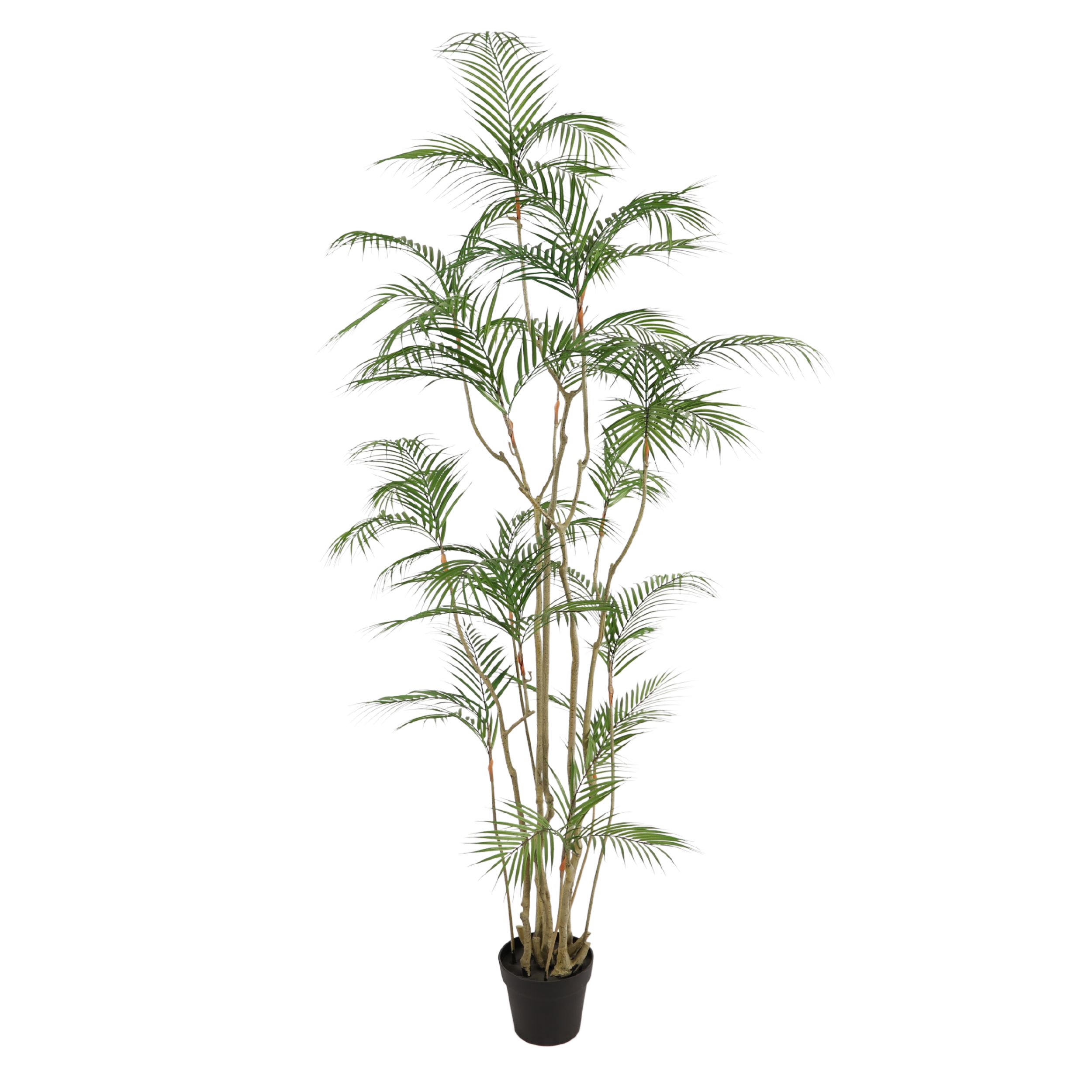 200cm