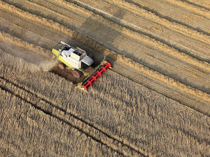 ביצועים גבוהים מכונת חווה 25hp rg25 מקצרה אורז מיני מקצרה אורז - Product Image 2