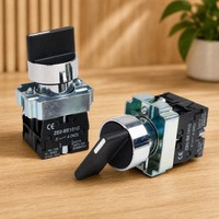 (Seri XB2 XB2 BD33 Selector) Tombol Tekan 22mm Momentary 3 Posisi Saklar On Off Tombol Putar Plastik Self-lock