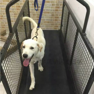 Precio al por Mayor, Cinta de Correr para Perros de Tela y Plástico Impermeables de Alta Calidad, Máquina de Entrenamiento y Rehabilitación para la Salud del Perro - Product Image 1