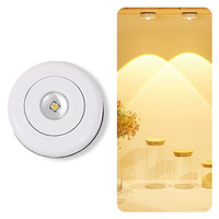 Lampe d'ambiance pour armoire, lampe de couchage au crépuscule, alimentation par batterie, éclairage de placard, commande tactile, mini lampe portable, sous l'armoire