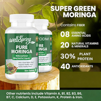 Kapsul Daun Moringa Organik Harga Terbaik Label Pribadi Ekstrak Massal Suplemen Pendukung Metabolisme & Imunitas Permen Kunyah Bubuk untuk Dijual