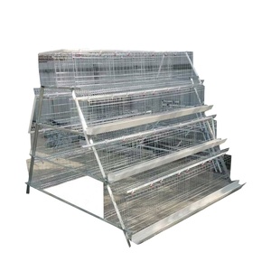 Jaula Especial de Calidad para Cría: Equipos para Granjas Avícolas para Uso en Gallineros - Product Image 6