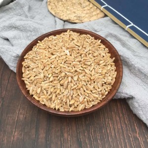 Fructus Tritici <span class=keywords><strong>Levis</strong></span>, Trigo Flotante, Trigo Claro, Hierba Medicinal China Seca Fu Xiao Mai, en Venta - Product Image 5