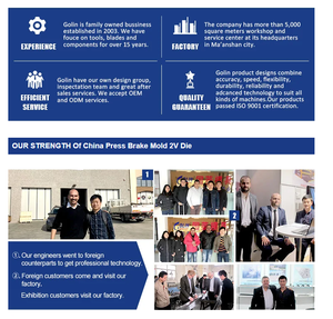 Gereduceerde Prijs Persrem Gereedschap Met Meerdere Soorten Klemsystemen Voor Buigmachine - Product Image 5