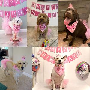 Conjunto <span class=keywords><strong>de</strong></span> Ropa para Fiesta <span class=keywords><strong>de</strong></span> Cumpleaños <span class=keywords><strong>de</strong></span> Perro, Falda Tutú Rosa, Corona, Lazo, Pañuelo, Pancarta, <span class=keywords><strong>Disfraz</strong></span> <span class=keywords><strong>de</strong></span> Cumpleaños para Cachorros - Product Image 5