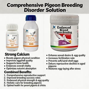Poudre nutritive pour l'élevage de pigeons de race, la plus vendue, 300g, améliore la fertilité et retarde le vieillissement reproductif - Product Image 5