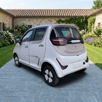 Nouvelle Voiture Électrique Mini 4 Places à Basse Vitesse, EV 5 Portes, Hayon Fermé, Cabine Fermée, Usage Domestique, 4 Roues, Autonomie 101-200km
