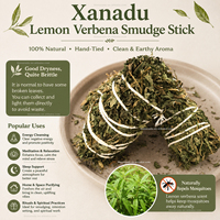 Bâtonnet de Verveine Citronnée Séchée Artisanale pour Rituels, Vert, Thérapeutique, 10cm 15g, Méditation/Nettoyage/Boutique