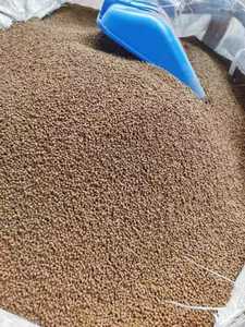 Terrasse en WPC moderne et contemporaine, imperméable, pour usage extérieur, 60% <span class=keywords><strong>de</strong></span> fibres <span class=keywords><strong>de</strong></span> <span class=keywords><strong>bois</strong></span> + 30% <span class=keywords><strong>de</strong></span> PE, garantie <span class=keywords><strong>de</strong></span> 3 ans, granulés/composés - Product Image 2