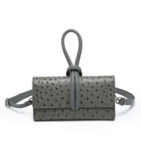Bolso de Mano de Diseño Nuevo y Económico, Tipo Bandolera Pequeña para Teléfono, de Alta Calidad, Estilo Ostrich, 2025