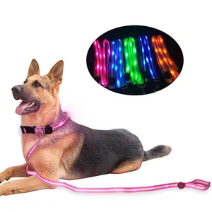 Guinzaglio per cani a Led in Nylon con guinzaglio per cani con lampeggiante impermeabile personalizzato con batteria