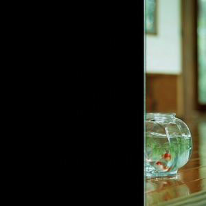 <span class=keywords><strong>Film</strong></span> de protection solaire étanche, <span class=keywords><strong>occultant</strong></span>, pour verre - Product Image 2