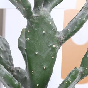 Plantas Artificiales de Plástico, Cactus Leon, Decoración para Interiores/Exteriores, Plantas Verdes Artificiales Tropicales, Paisaje Desértico, Alta Simulación - Product Image 4