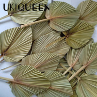 Ventes en gros de vraies feuilles de palmier bleues naturelles, stabilisées, préservées, feuillage en forme de flèche, plantes stabilisées, feuilles de palmier séchées