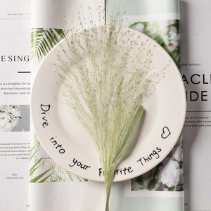 Grama de panicum, artesanato diy, fazer artesanato, planta ecológica, herbílio, pressionado, floral - Product Image 3
