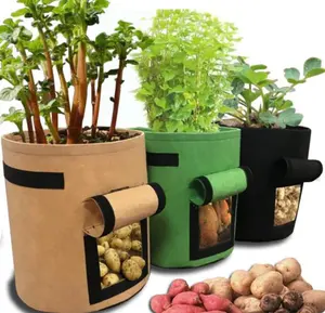 Kuyue Grote 3-Pack Plantenbak 7 Gallon Vilt Aardappel Kweek Zak Opbergdozen & Bakken Opvouwbare Klassieke Vierkante Opvouwbare Kleding Organizer