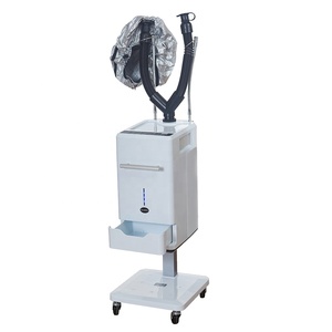 Hot Selling Profession elle Haarpflege Nano Era Dampfer Salon Friseur Promotion Ozon Haar behandlung Spray Maschine für den Spa-Gebrauch - Product Image 1