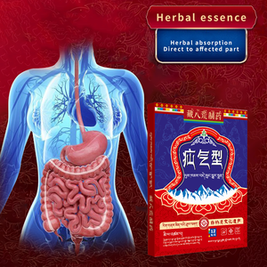 Оригинальная оптовая продажа медицинская магнитотерапия Традиционная китайская медицина формула для снятия легкой грыжи - Product Image 4