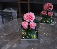 Nouveau Style LED Lumière Rose Jardin Roses Préservées dans une boîte en acrylique pour la décoration intérieure Cadeaux pour la fête des mères Saint Valentin Noël