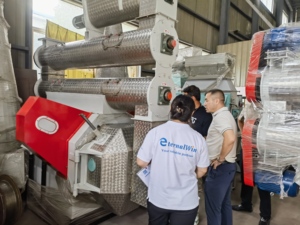 Machine à fabriquer des granulés d'aliments pour animaux de 10 tonnes/h à vendre, <span class=keywords><strong>prix</strong></span> de l'usine de granulés d'aliments pour volailles au Pakistan - Product Image 3